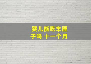 婴儿能吃车厘子吗 十一个月